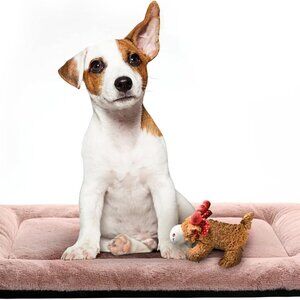 Ultra Soft Dog Bed & Kennel Pad for Medium Dogs